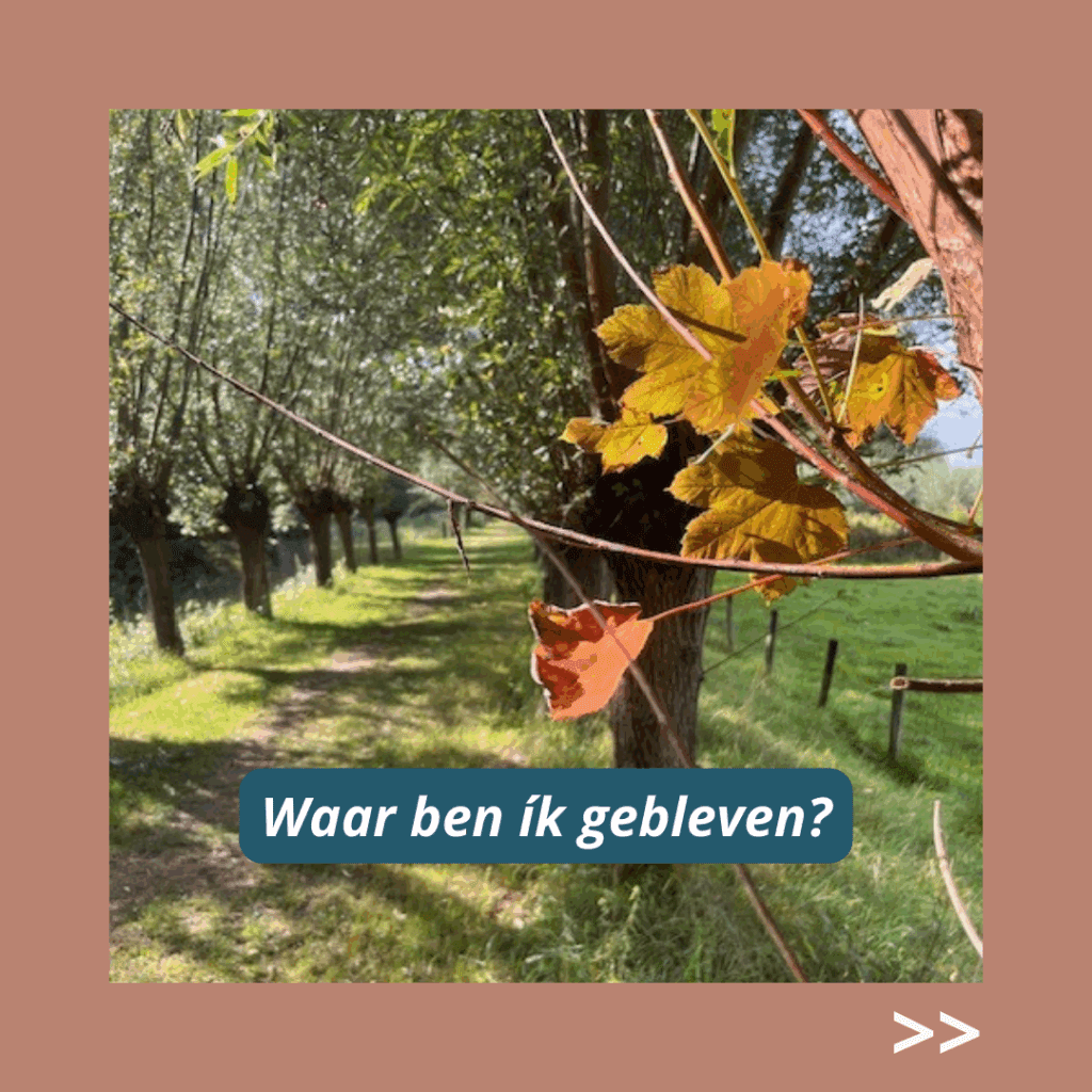 waar ben jij gebleven